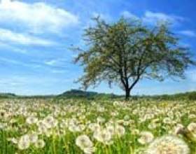 10 ������ ����������� ���� �� ������� ��� ����� фото