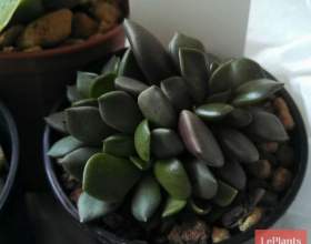 ������������ фото