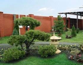 ������� �� ���������� ������ ������ фото