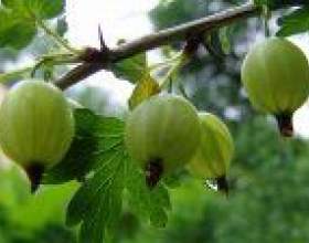 �������� � ��������� ������ � ��������� фото