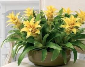 ������ ��������� ���� ������� �������� � �������� ������! фото