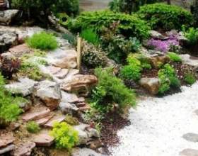 �� �� ����� ��� �����? фото
