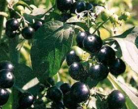 �� ������� � ���? фото