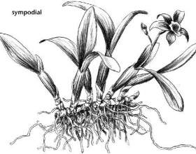 ������� ����, ��� ������� ������������! фото
