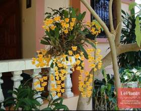 ��������� ���� фото