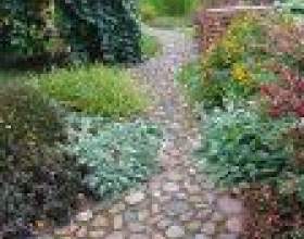 ������ �������� ������� ������ фото