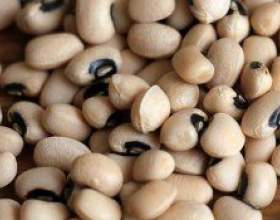 �������: ������, ������� ���������� ������ фото