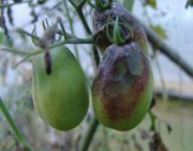 Գ�������� � �������� � ��� фото