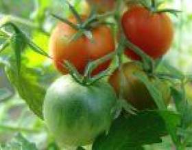 ���������� ������� � ������� фото