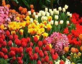������� &laquo;�������&raquo; ��������� фото