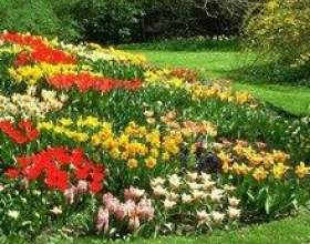 ������������ ��� - &laquo;����� ���&raquo; фото