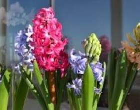 ó����� � �������� ������. ������� �������. ���� фото