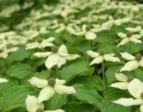 ����� � ����: ����� ����� фото