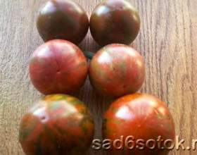 ֳ��� ����� ������ фото