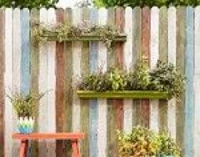 � ���� ������� ������ ������ ��� ���������� ����� ������ (����) фото