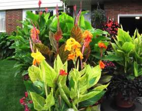 ��������� �����. ����������� � ������ фото
