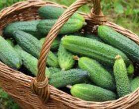 �������� ��������� ��������: ���� фото
