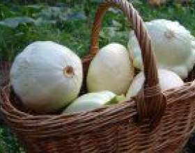 �� � � ���� �������� ������ фото