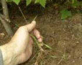 �� ��������� �� ����? фото