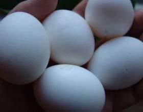 �� ����� ��������������� ����� ��������� фото