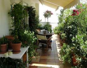 �� ��������� ���� ������ �� ���� фото
