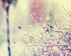 �� ���������� �� ���� �������-"���������"? фото