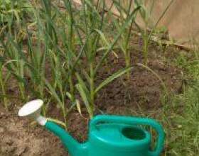 �� �������� ������� ��������� фото