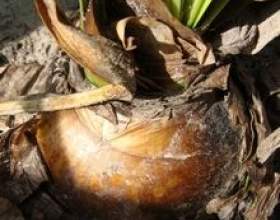 ������� � �������� � ��������� фото