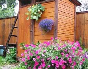 �� ���������� ����� ��� ��� ���� фото