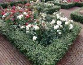�� ��������� ������� ������� �� ����? фото