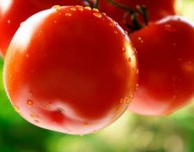 �� ��������� ���������� ������ фото
