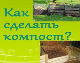 �� ����������� ������� фото