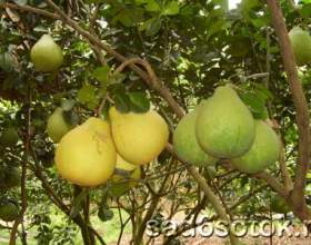 �� ��������� ������ ������ фото