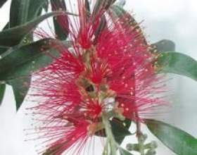 �� ���������� ����������? фото