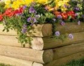 �� ������� ������ � ������ ����� ������, ���� фото
