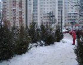 �� �������� ���� ������ фото