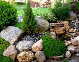 �� �������� ������ ����� ������ (����) фото