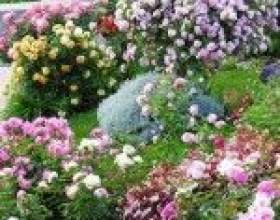 �� ����� ������ �������� ������ � ������ фото