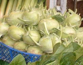 ������� ������� - ������� � ��������� ���������� фото