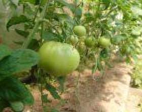 ���� ������ ���� ��������� фото