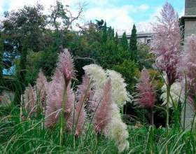 ��������� фото