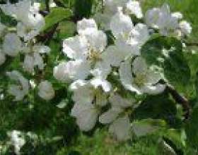 �����. ������ ��� ������������ ����� фото