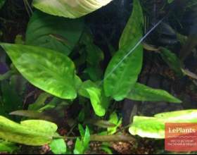 ������������ ����������������� фото