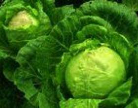 ˳�������� ���������� ������� фото