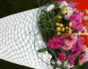 ����� ��������� фото