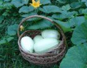������� ������� ����������� ���������� фото