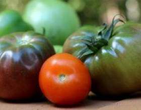 ����� �������� � ������������ ������ фото