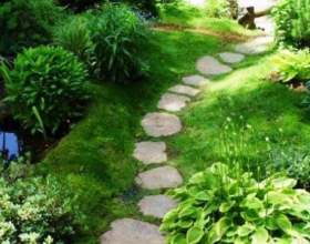 ��� � ���� фото