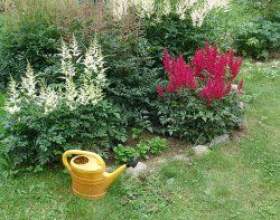 ��� ������� ������� ������������ фото