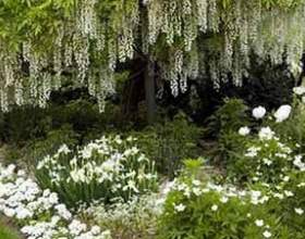 ���������� ����: ��������� � ������ ������ фото